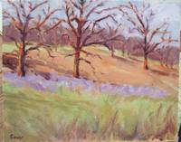 Oak Savannah November 2007