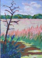 September Prairie and Path