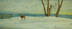 Blue Mounds Survivor