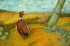 Fenceline Pheasants
