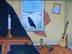 That Raven At My Window Was Only A Crow