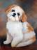 Baxter