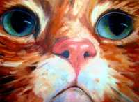 Just Kitty
