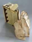 Parakeet book