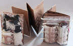 Little Brown Book