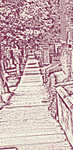Panel of Photo Mural