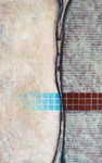 Division; Contempt 