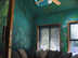 Jungle room