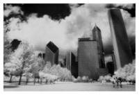 Chicago Landscape