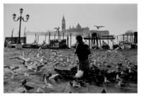 Girl with Pigeons - Venice