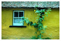 Ireland Home