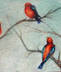 Birds_Dusk_thumb