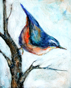 Blue Bird on Branch