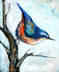 Blue Bird on Branch