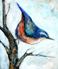 Blue_Bird_on_Branch_thumb
