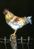 Rooster on Fence