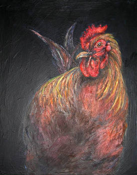 Uncle's Rooster
