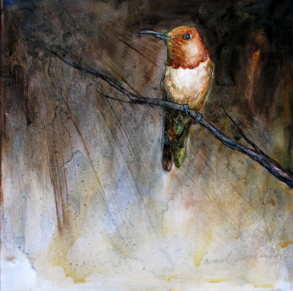 Rufous Hummingbird on Branch