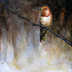 Rufous Hummingbird on Branch