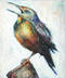 Singing Bird