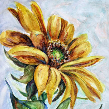 Sunflower_thumb