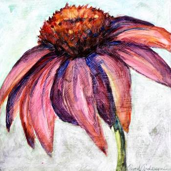 Coneflower
