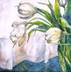 White Tulips