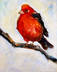 Red Tanager
