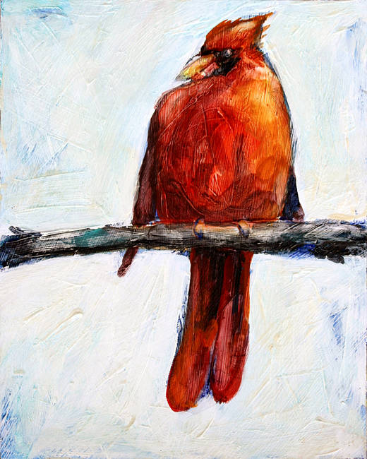 Red Cardinal