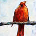 red_cardinal_thumb