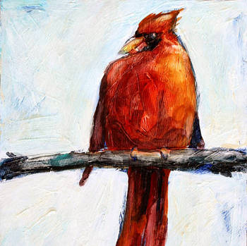 red_cardinal_thumb