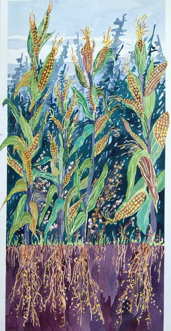 Above and Below: Corn