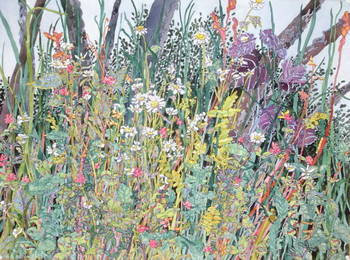 Mid August (sold)
