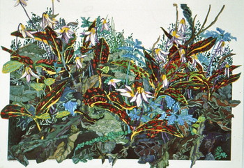 Blooming Through Leaves