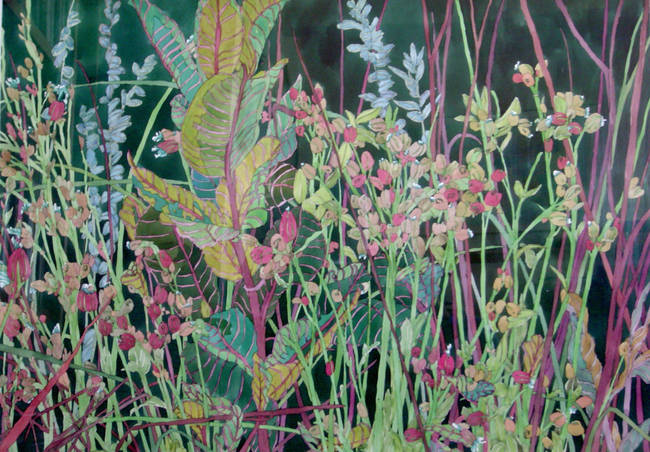 Campion and Milkweed