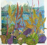 Dragonflies and Ladybugs