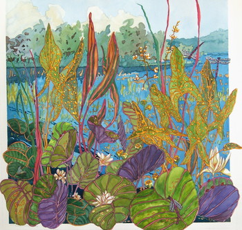 Dragonflies and Ladybugs