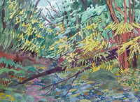 Fallen Tree