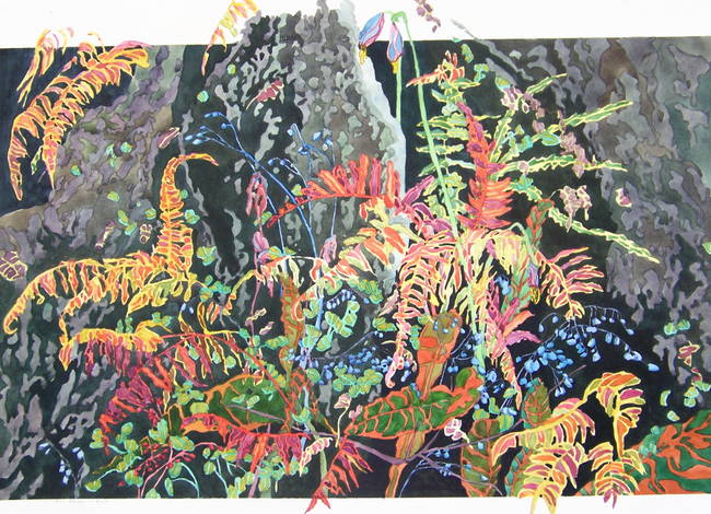 Ferns Between the Rocks