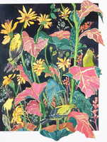 Finch Yellow
