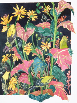Finch Yellow