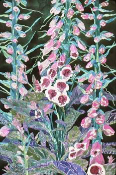 Foxgloves 2