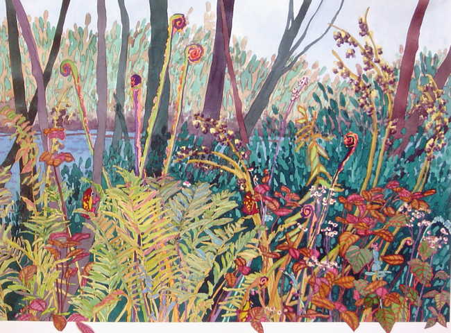 Fronds, Frogs, and River