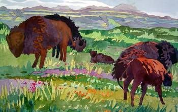 Grasslands Study