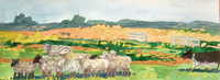 Herding