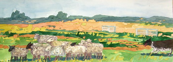 Herding