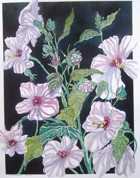 Hibiscus
