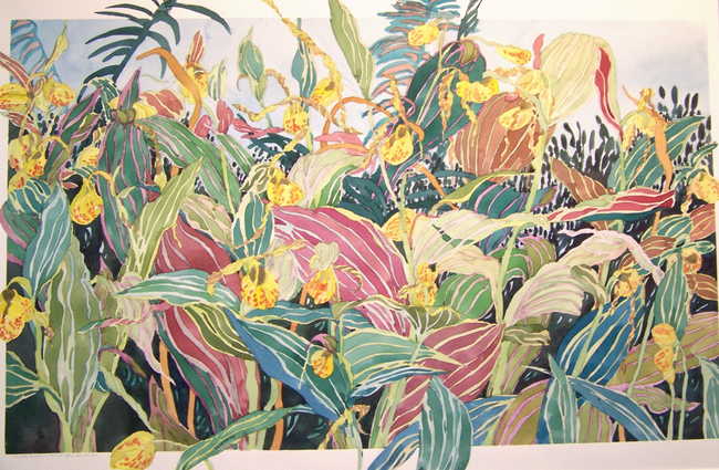 Yellow Ladyslipper Garden