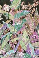 Milkweed Fields 2