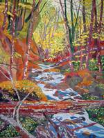 Natural Bridge in Parfrey's Glen